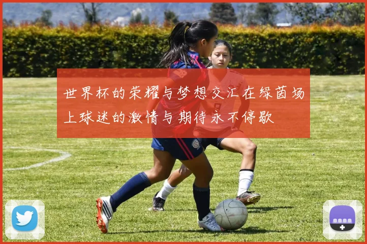 世界杯的荣耀与梦想交汇在绿茵场上球迷的激情与期待永不停歇