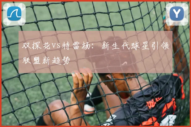 双探花vs特雷杨：新生代球星引领联盟新趋势