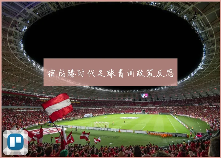 宿茂臻时代足球青训政策反思