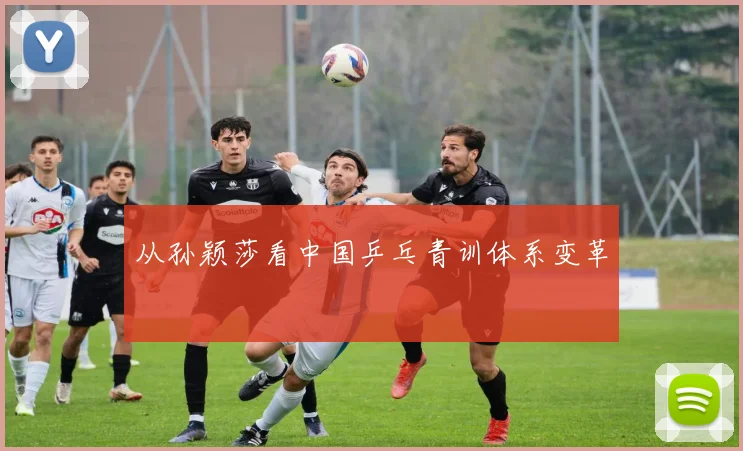 从孙颖莎看中国乒乓青训体系变革