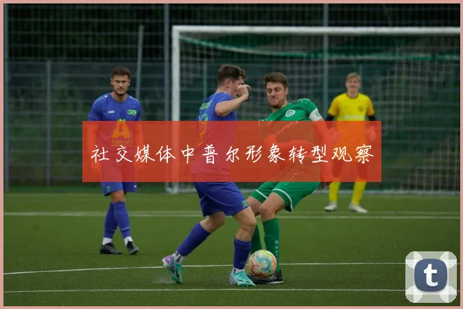 社交媒体中普尔形象转型观察