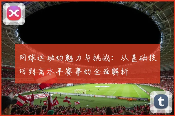 网球运动的魅力与挑战：从基础技巧到高水平赛事的全面解析