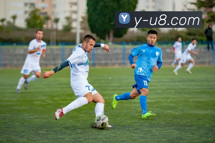 u8国际平台生态图